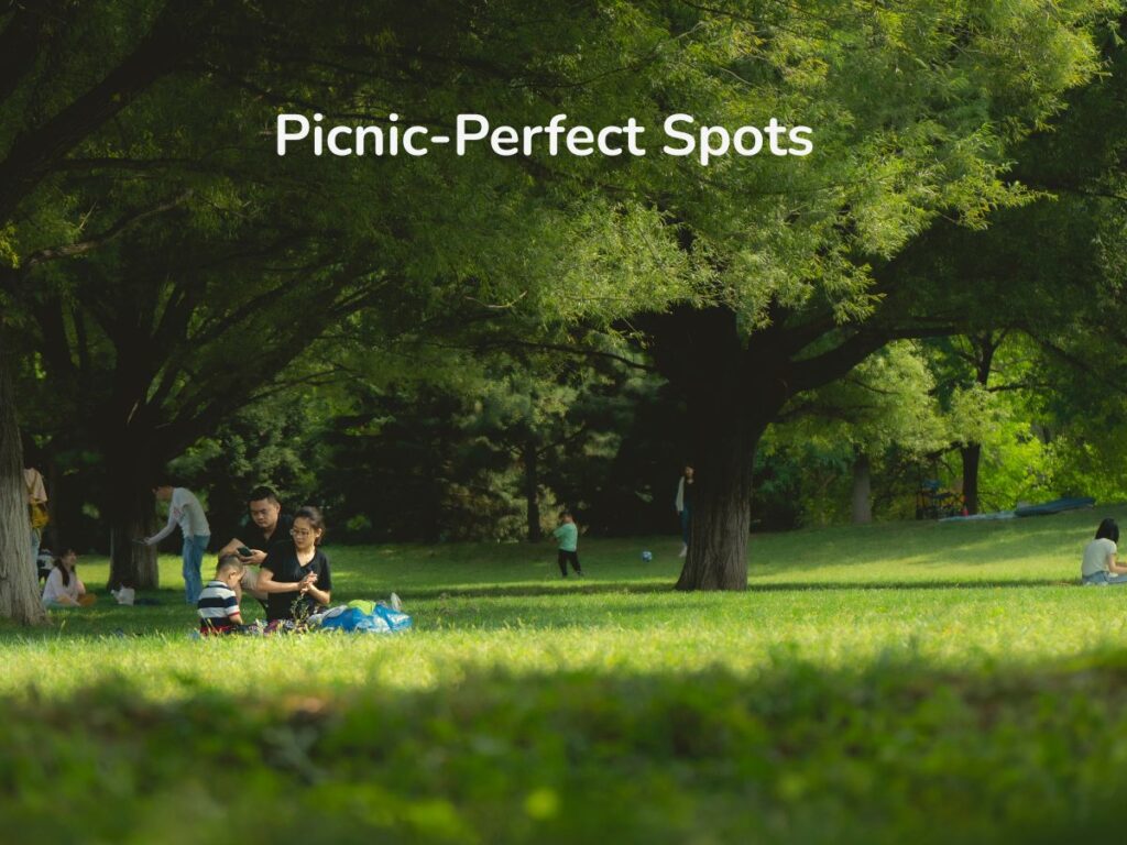 Picnic-Perfect Spots